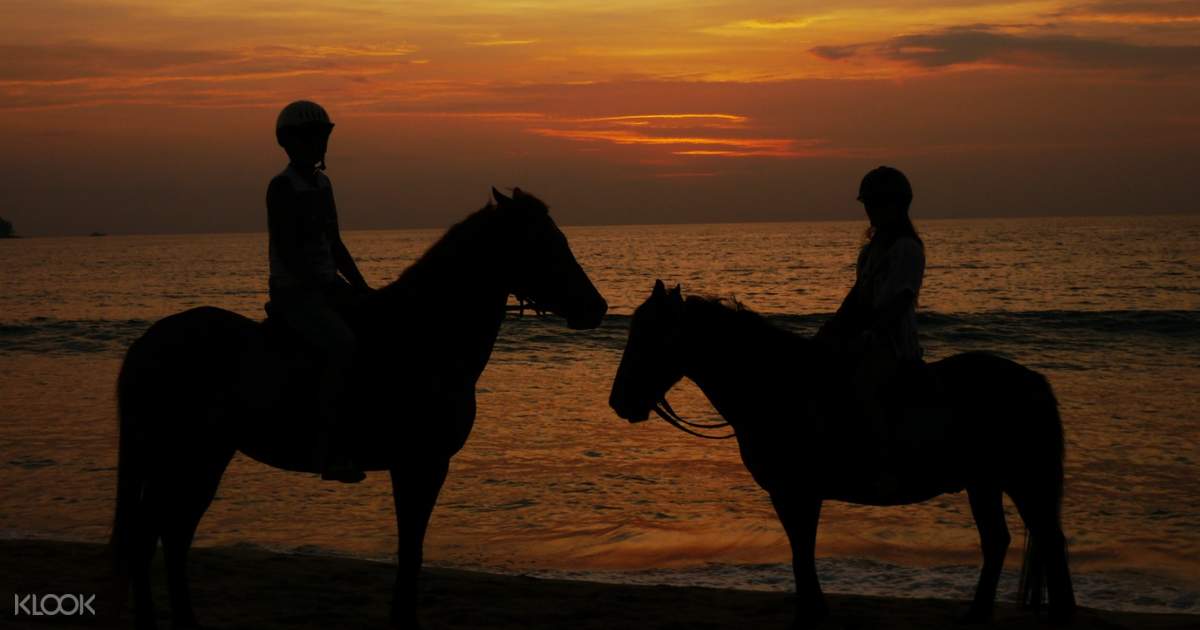 Horseback Riding Experience in Phuket, Thailand